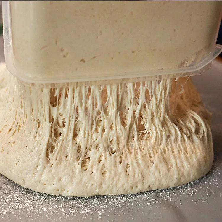 Low-Sugar Active instant dry yeast power 500g 450g 400g 125g 100g for making unsweetened or low-sugar bread (sugar content 0-7%)