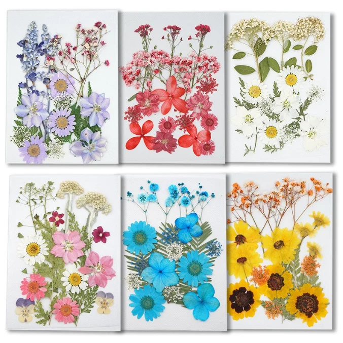 Hot Sale DIY Art Crafts Various Dried Pressed Flower Kits for Scrapbooking Epoxy Resin Jewelry Molds Candle Soap Making