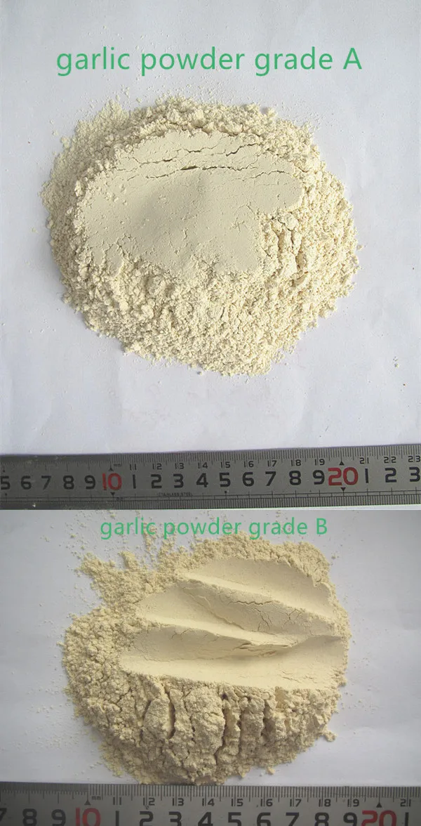 Garlic Powder dried garlic low garlic price