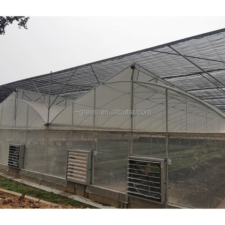 IGREEN Vertical Farming Hydroponic Tower Green Modular House Film Large Multi-span Plastic Greenhouse for Plants Single Layer