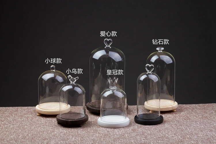 Beauty and the beast glass dome cover with copper string lights / cloche