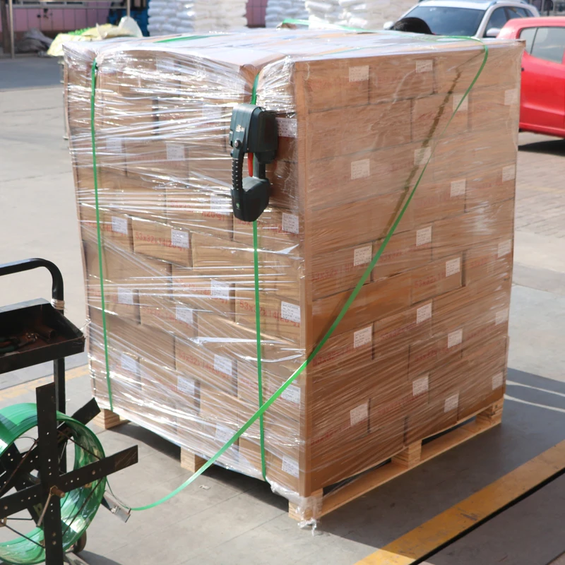 BCM402 meter seal back print electric meter seal security seal for water meter