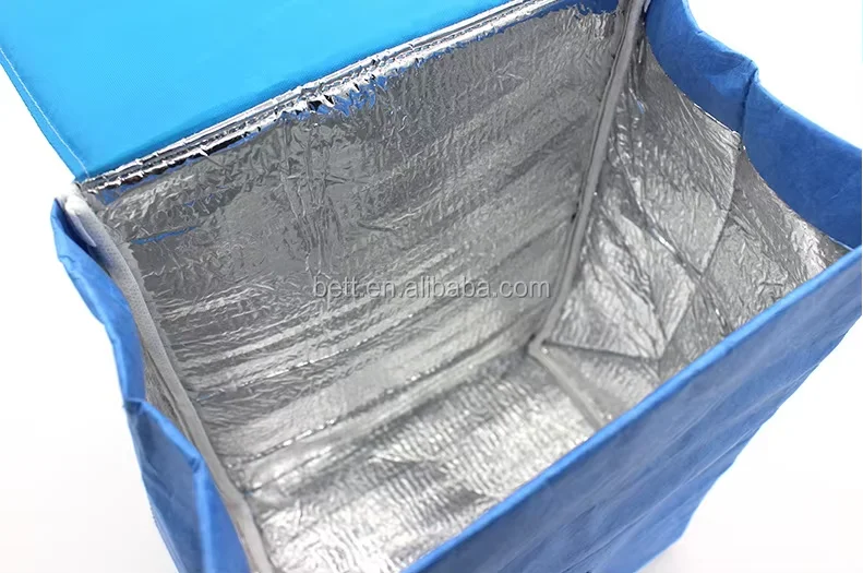 Eco-Friendly Tyvek Food Paper Bag Casual Use Insulated Cooler with Vintage National Style Foldable Customizable Color for Lady