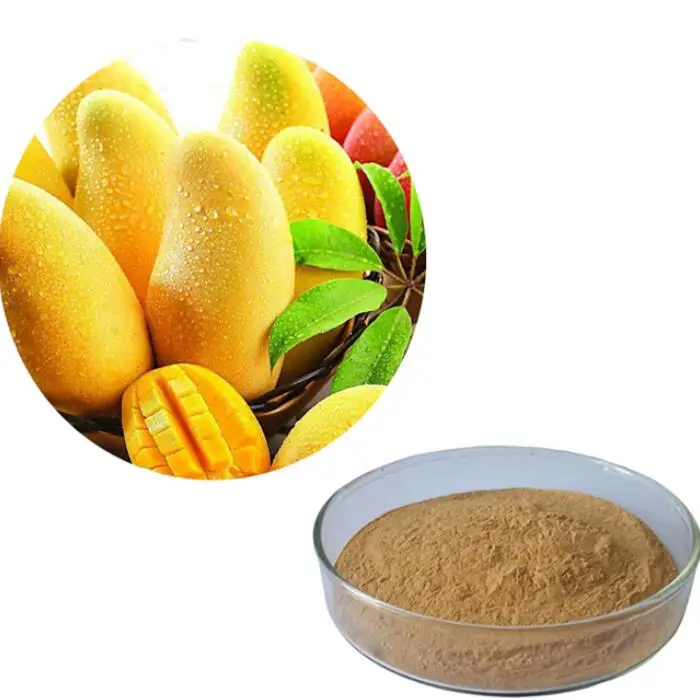 Factory Supply Irvingia Gabonensis Extract powder Mango Seed Extract Mangifera Indica