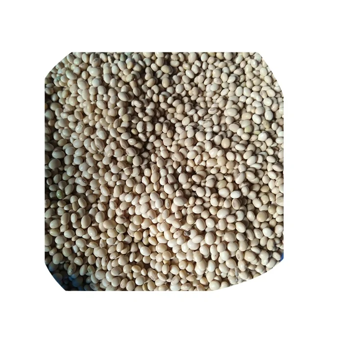 
Supply high quality Low Impurity NON GMO SOYBEAN SEED with above specification from BENIN WEST AFRICA cheap soybeans for sale 