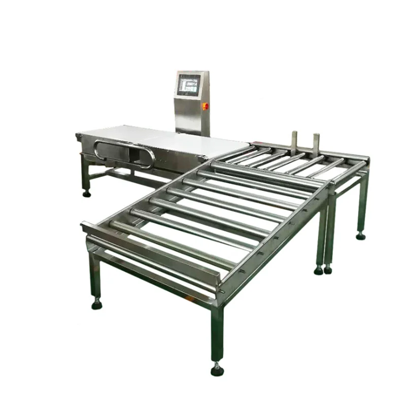 Belt conveyor weighing scale/High Accuracy weight checker/conveyor weighing machine