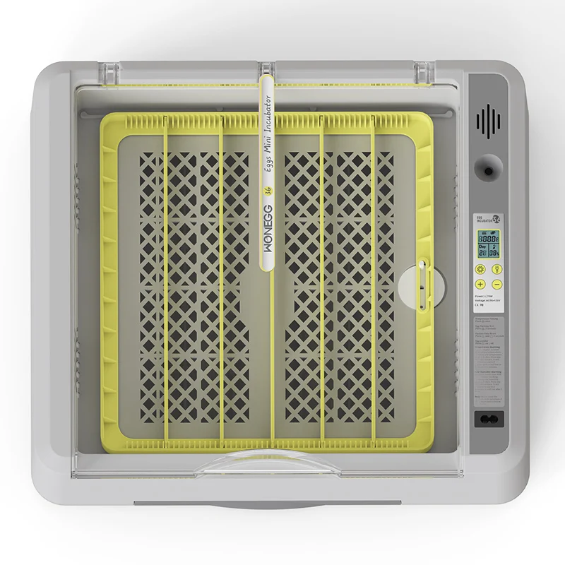 Wonegg Mini Dual Power 36 Eggs Chicken Broiler Pigeon Egg Incubator Automatic Brooder Incubator For Poultry