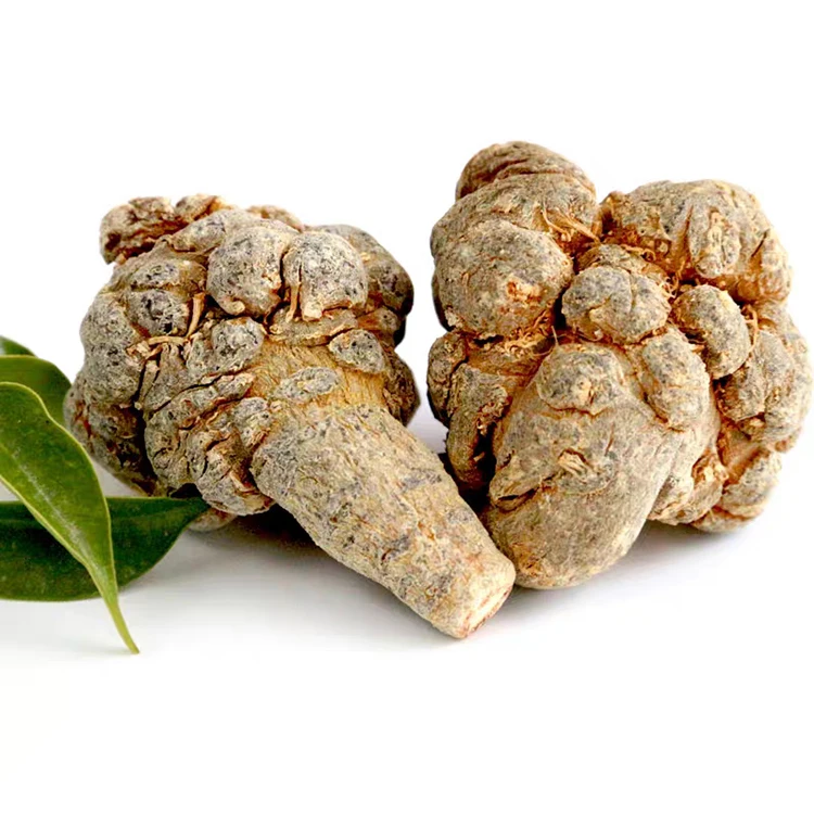 100% чистый натуральный органический экстракт корня нотоженьшеня Panax Notoginseng5