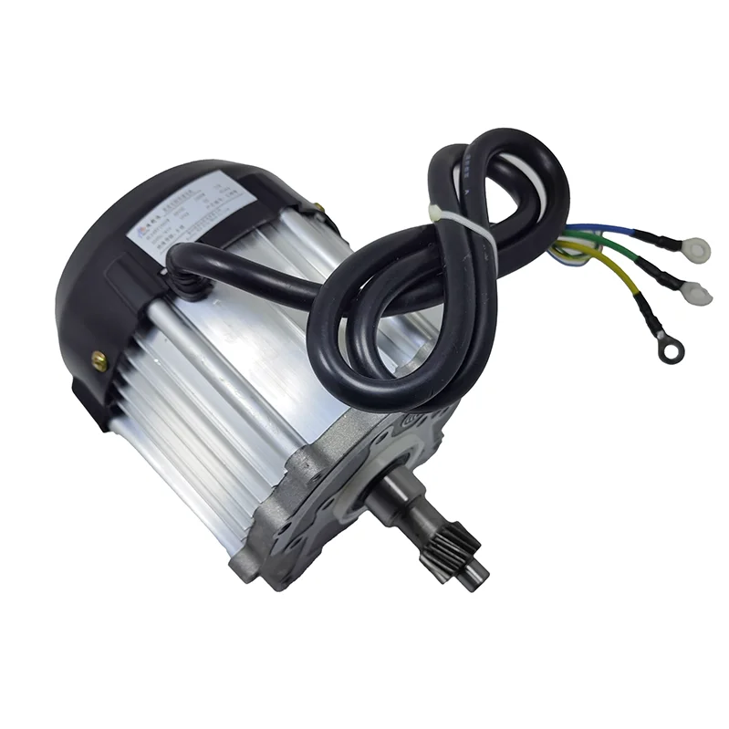Factory direct wholesale  China Supplier High Efficiency 1000W DC Brushless Motor for electric Elec