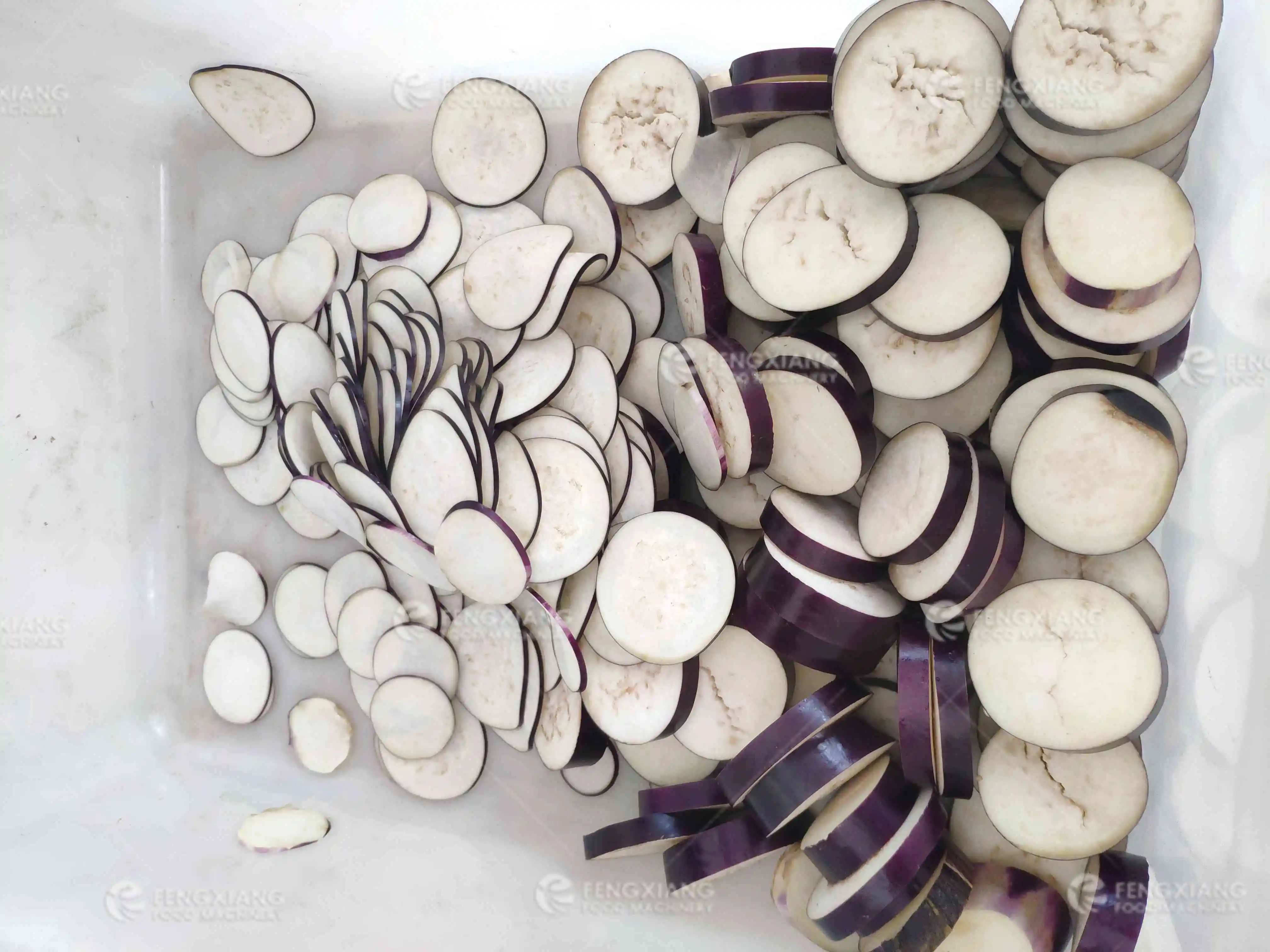 FC-305 Industrial Leafy vegetable slices strips cutting flaking machine coconut bitter gourd chopping shredding cutter