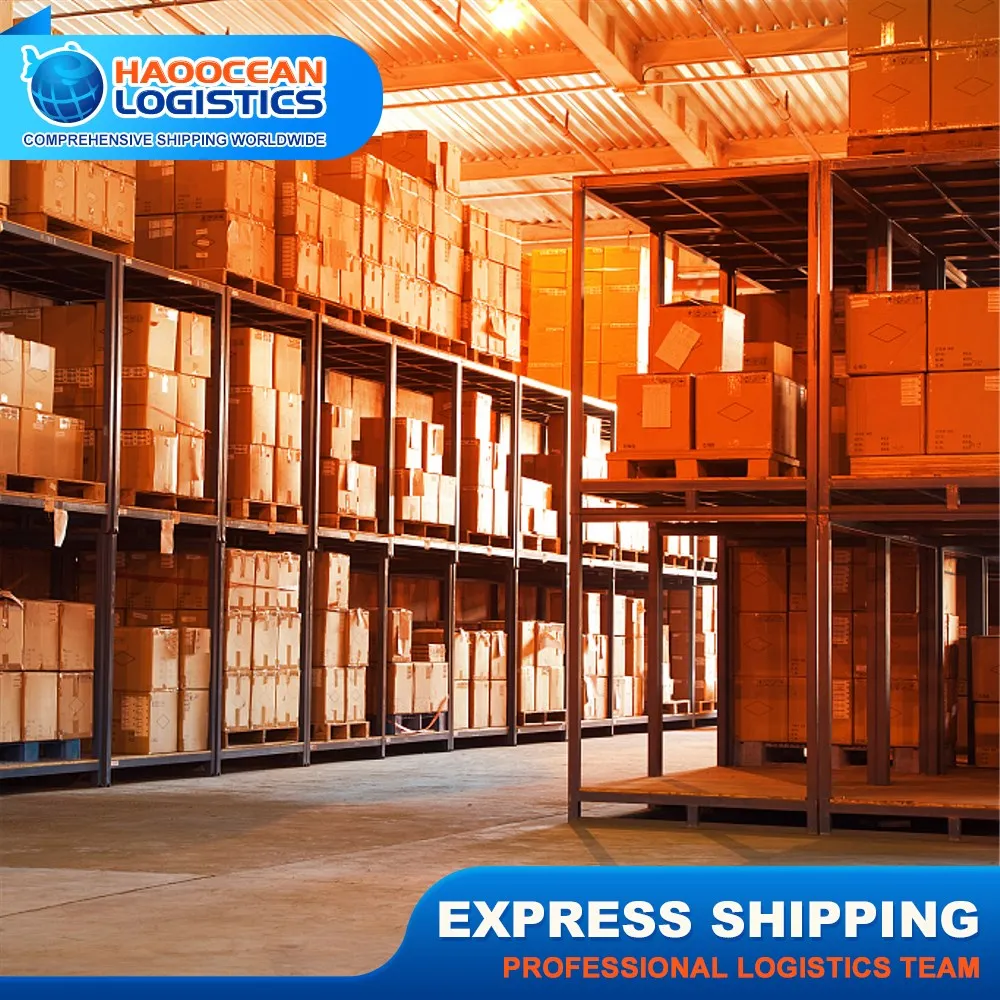 Experienced Shipping Freight Forwarder Ali FBA Logistics Agent Door to Door Service to French Guyana