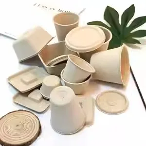 Food Container Drinking Disposable Pulp Compost Able Coffee Cup Biodegradable Sugarcane Bagasse Box with lid