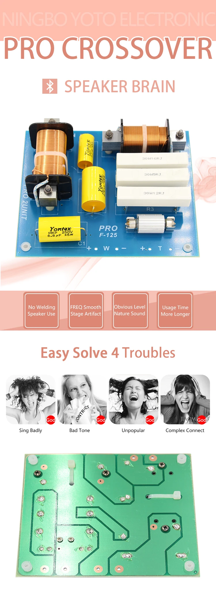 2000 Watts Speaker 2 Way Crossover