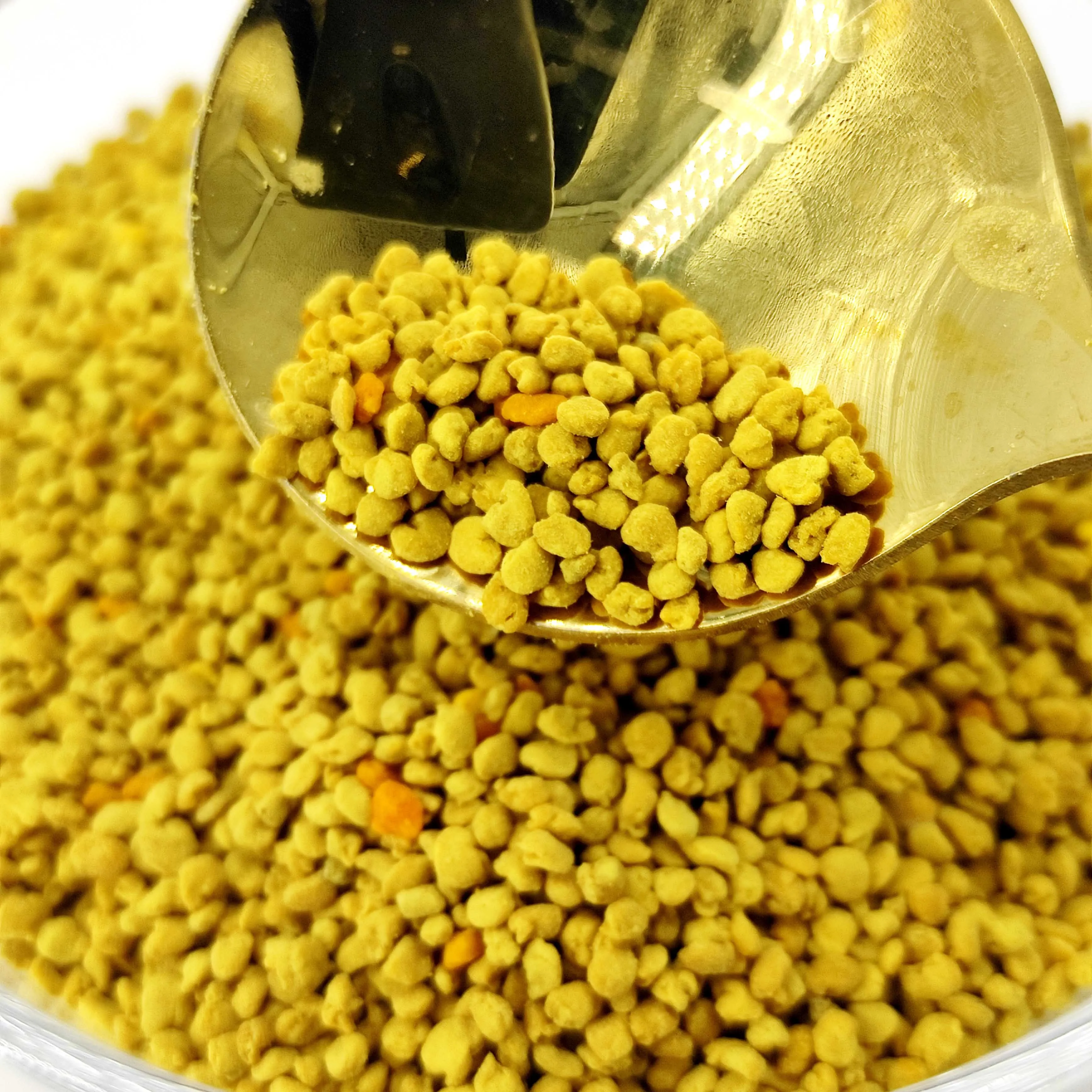 High quality Reliable Factory Wholesale organic qinghai mixed bee pollen bulk pure rapeseed bee pollen Granule