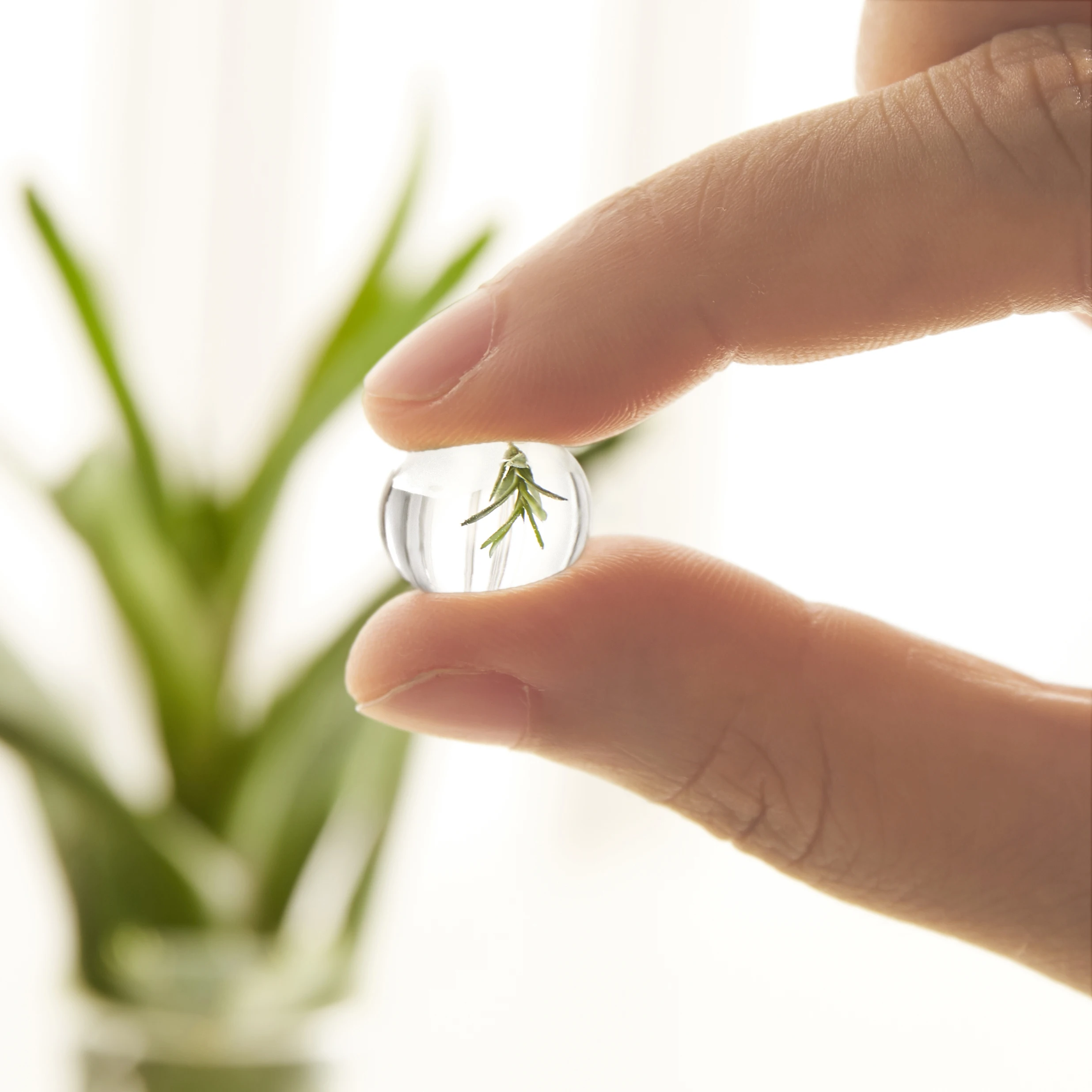 SAP Super Absorbent Polymer Water Absorbent Gel Potassium Polyacrylate for Agricultural Use Crystal Hydrogel