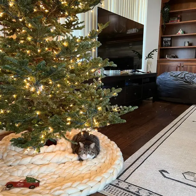 best sellers 2020/2021 Junke brand wool yarn roving merino wool yarnyuyote