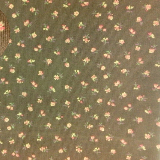 21W COTTON CODUROY PRINT FABRIC FOR CLOTHING