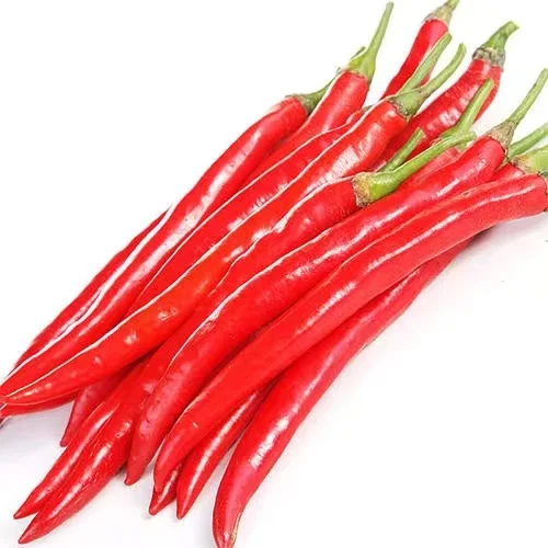 High quality flavored spicy red line chili (pepper) made in China