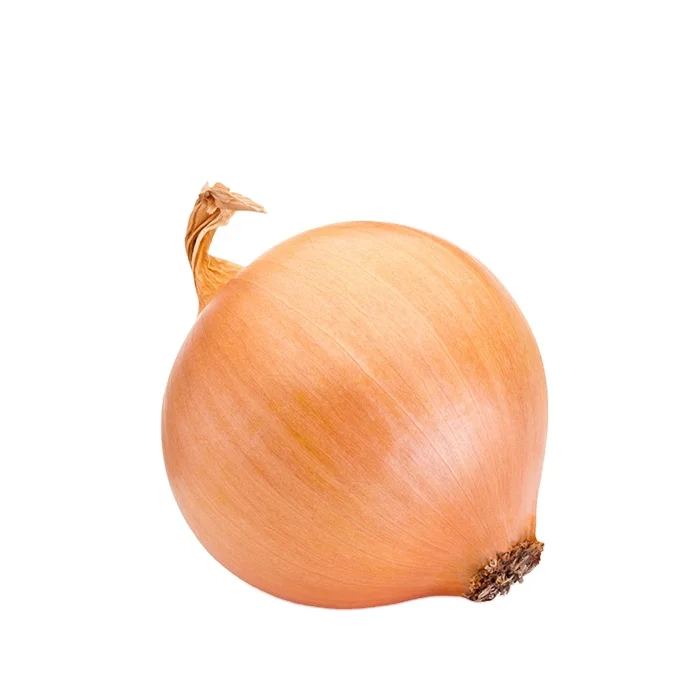 Fresh Onion in China 5-8cm 9-11cm 10kg Bag Packed Red Yellow White Onion Wholesaler