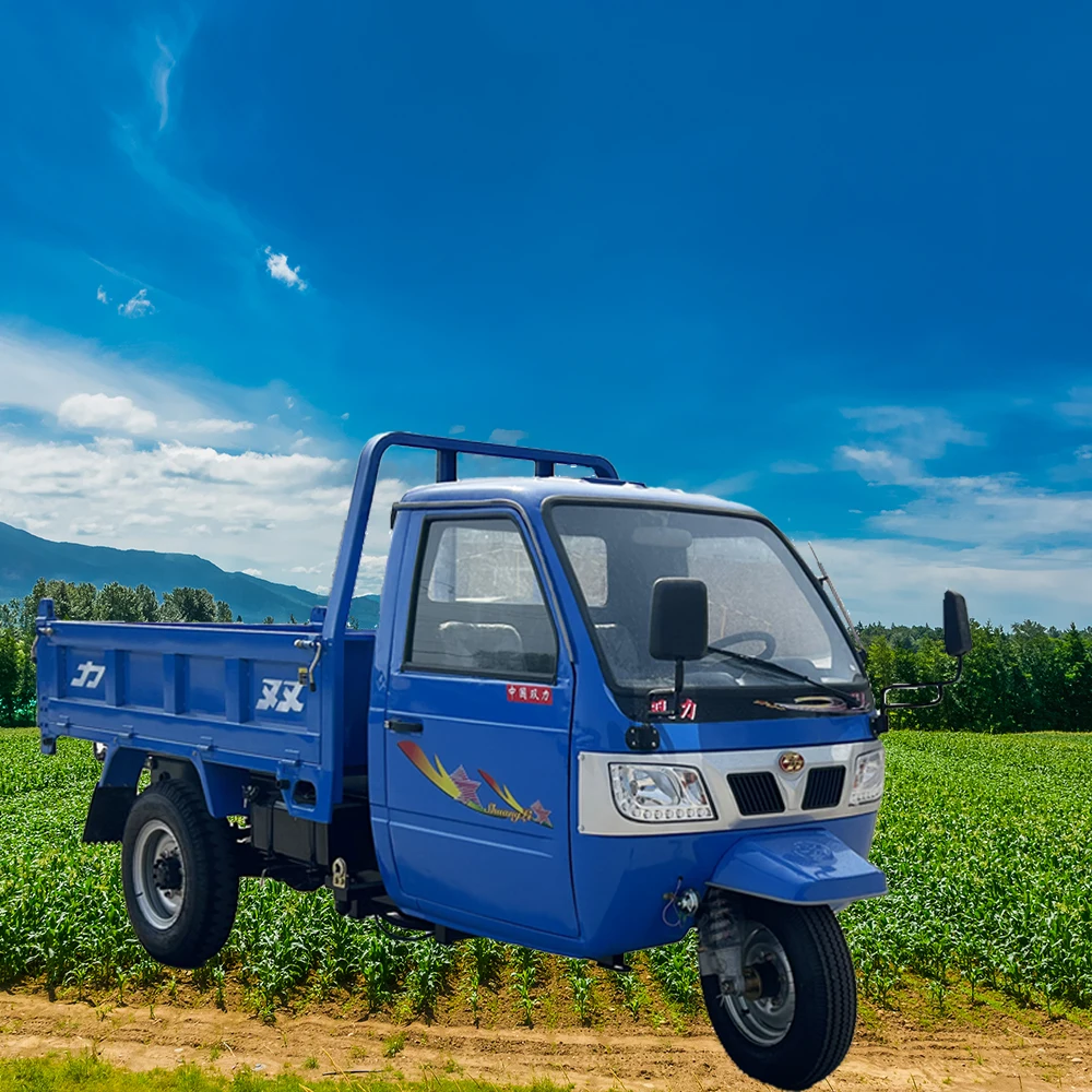 Large Size Diesel Tricycle Cargo 3 Tons Tricycles 3 Tires Tricycle Motorcycle Export To African Market