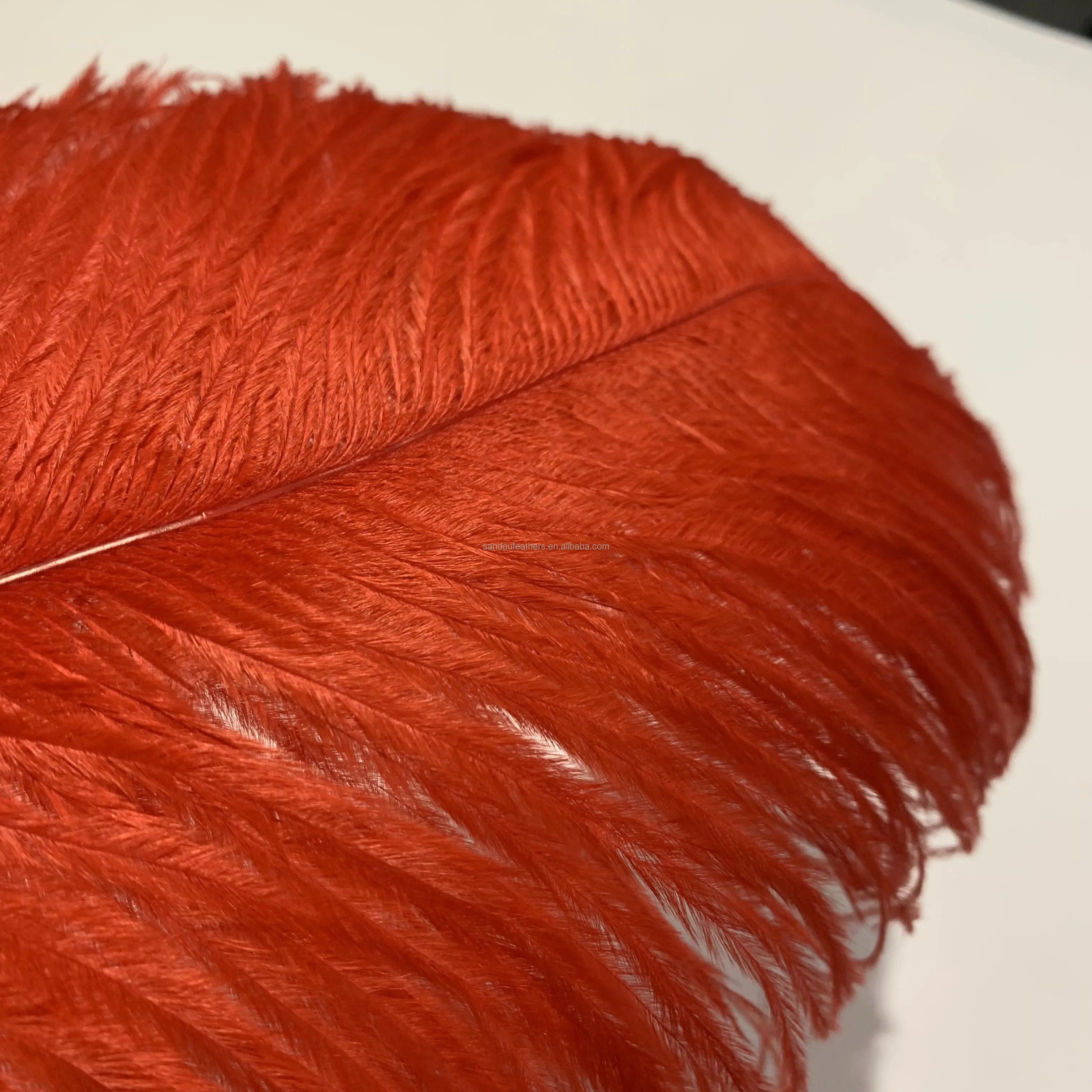 Wholesale Red Ostrich Feathers 50-55 cm For Crafts Centerpieces Wedding Tables Feather Carnival Party Decoration