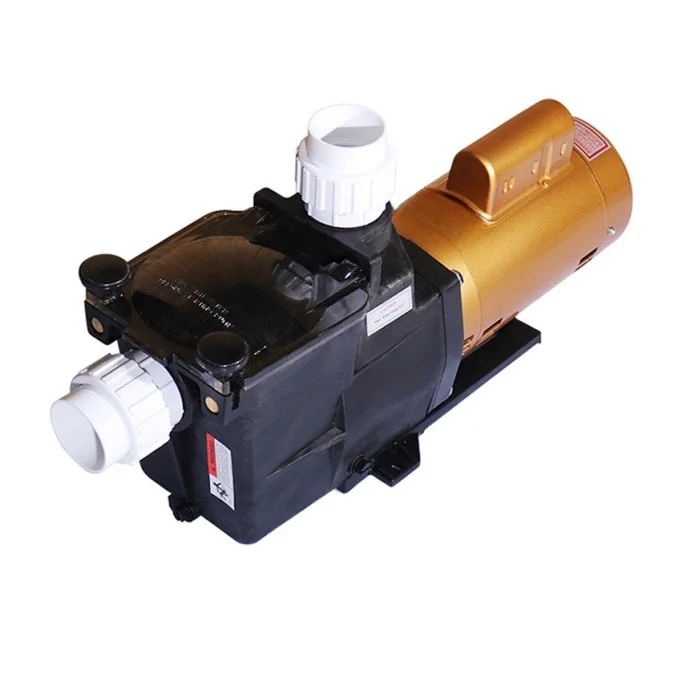 Customized  Dual Voltage Strong Suction In/Above Ground Swimming Pool Filter Pump