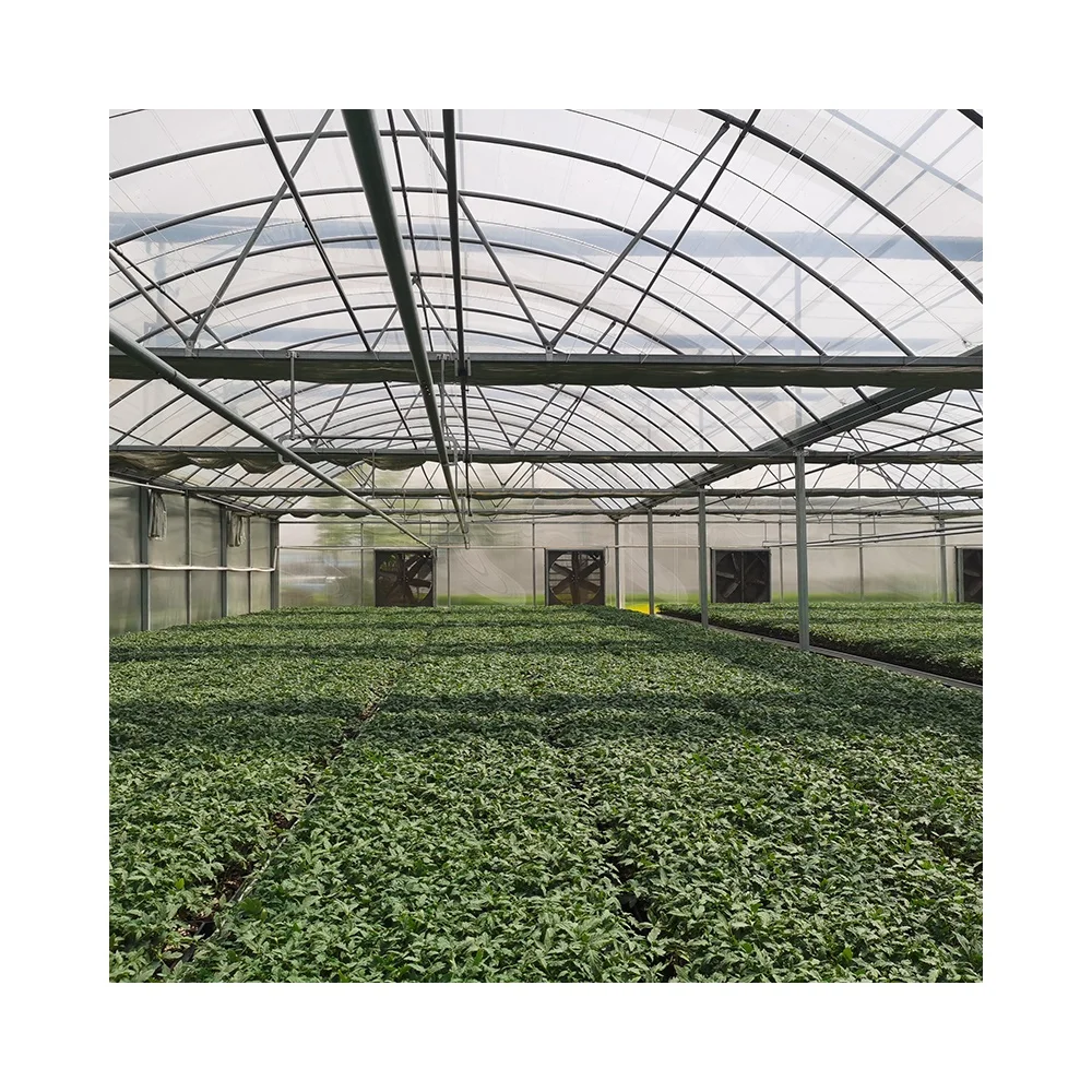 Sale of commercial agricultural tunnel greenhouse polyethylene film greenhouse