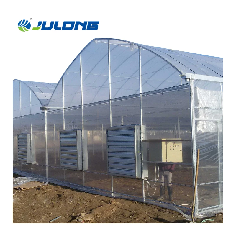 Cheap Hydroponic Multi Span Greenhouse Smart Farm Tomato Strawberry Greenhouse Supplier