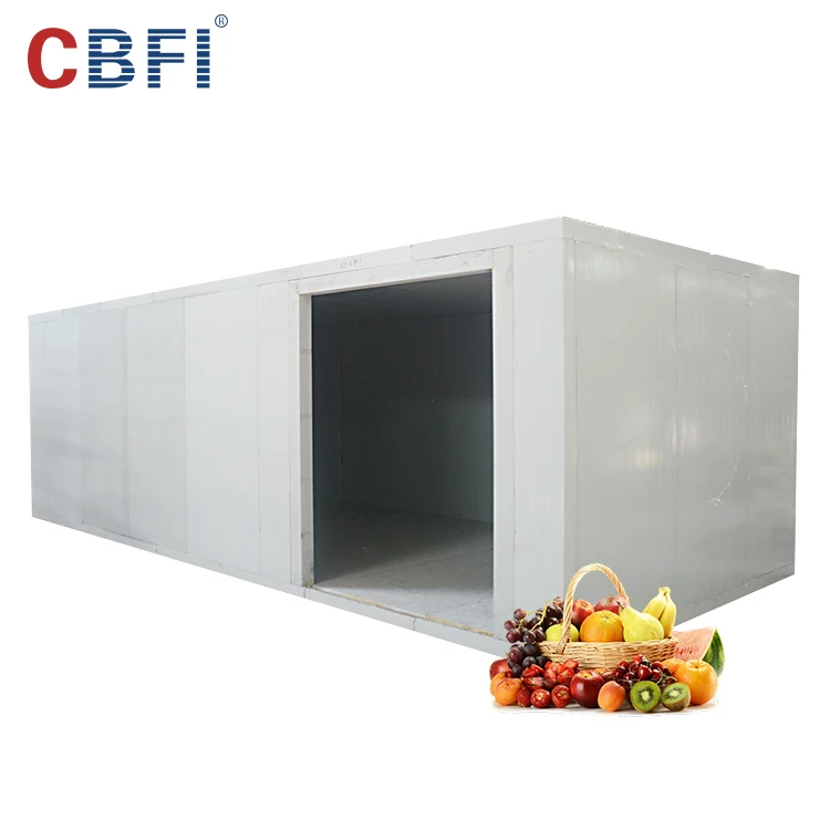 Low Price High Quality Frozen Cold Room/Cold Storage For Meat And Fish