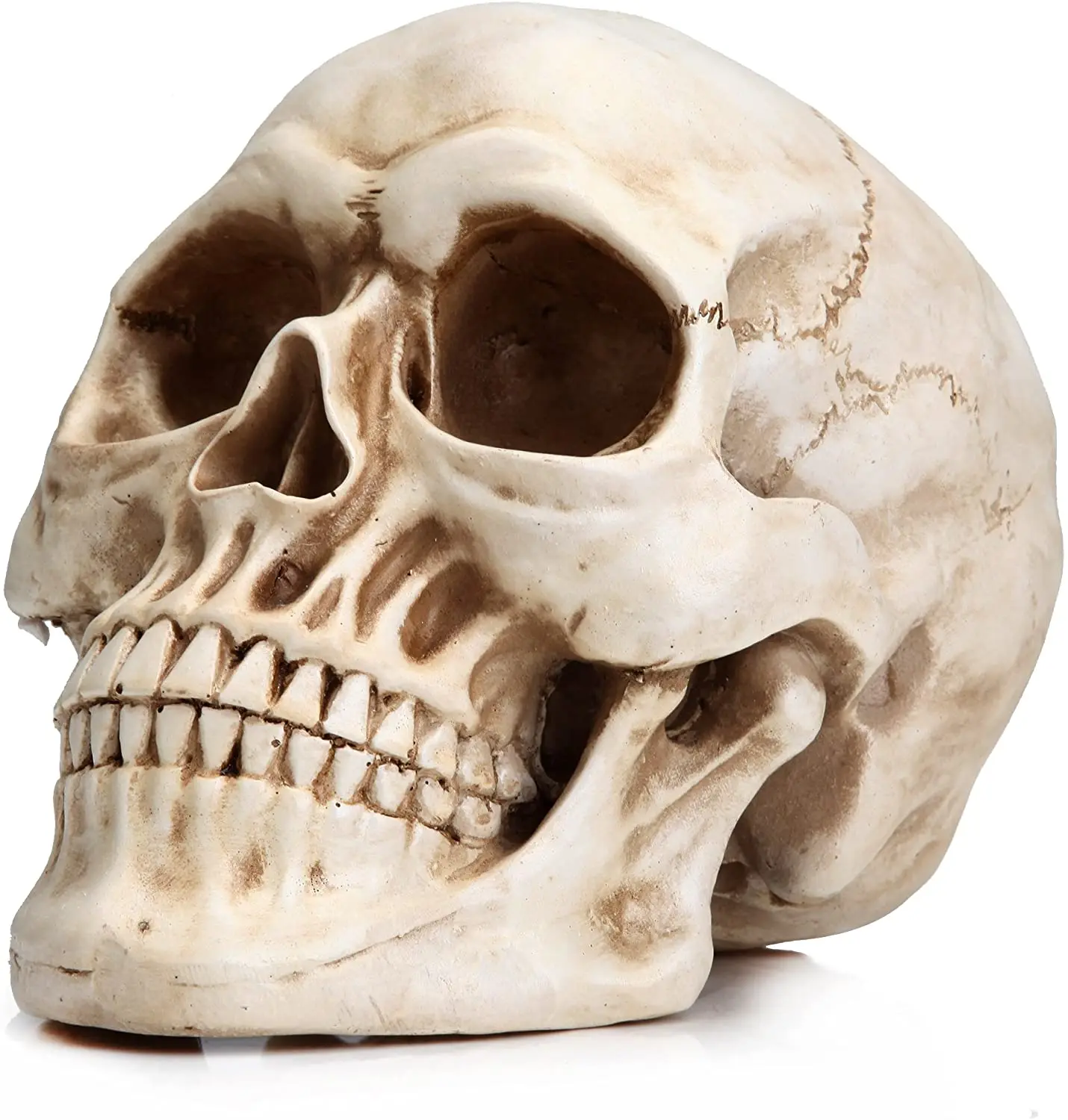 Best Seller Halloween Statue Skull