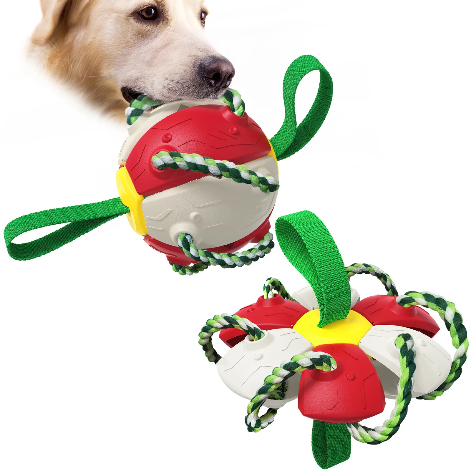 Hot Sale Dogs Pet Cat Toys Pet Rolling Ball Robot Camera Automatic Rolling Training China Sustainable Plastic Toys Small Dog