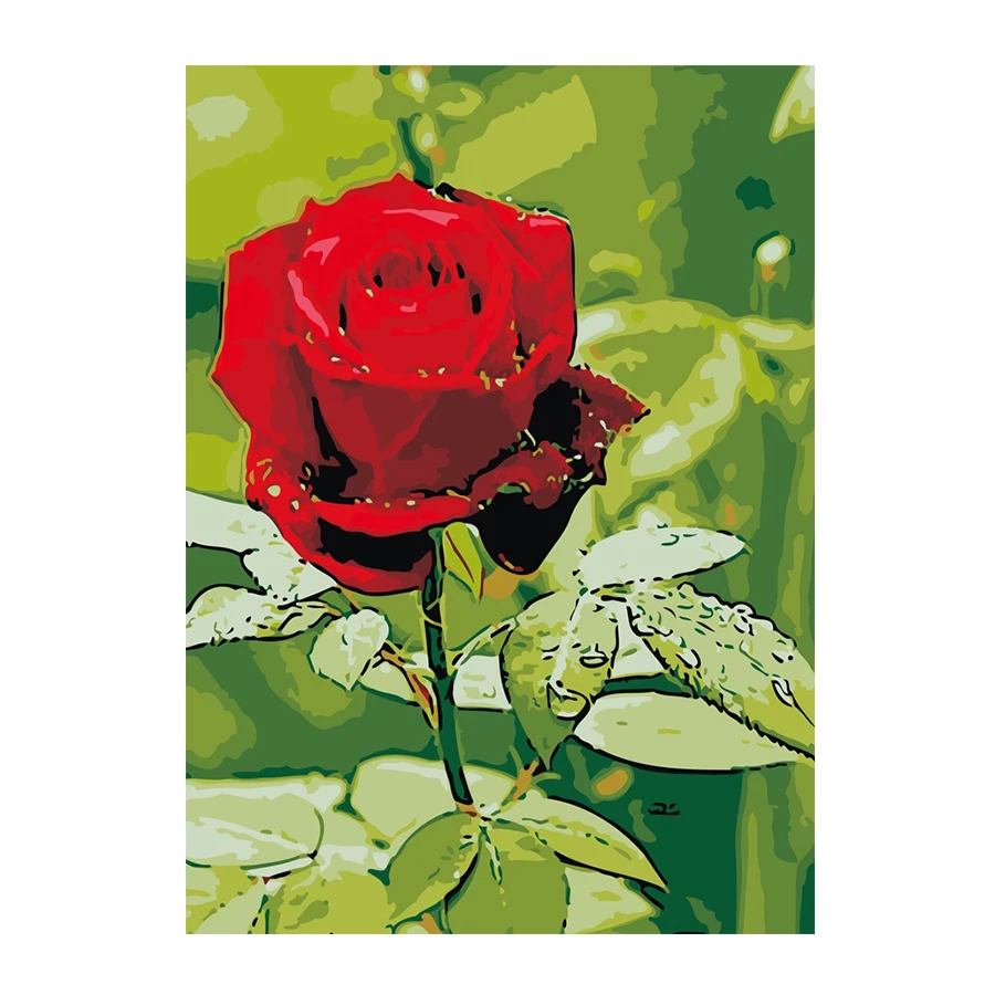 
Factory wholesale hand-painted oil paintings of Gorgeous Rose 40*50CM oil painting by numbers 