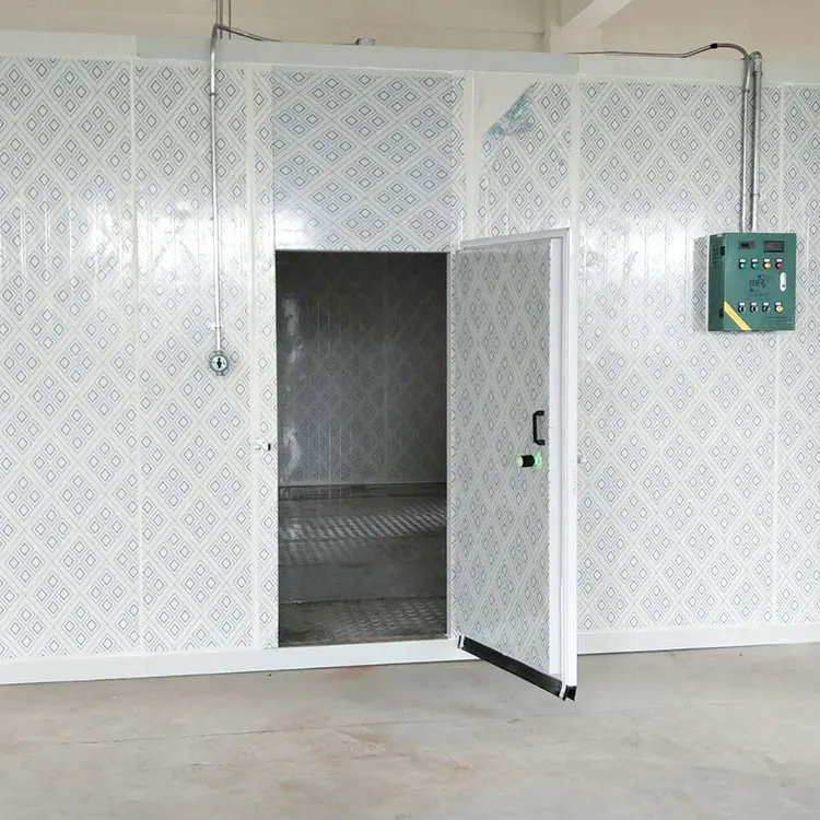 New design Customized frozen cold storage for fishFish refrigeration
