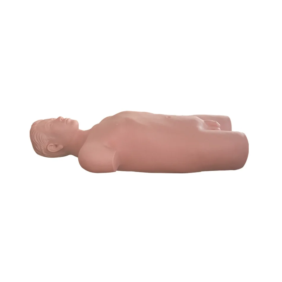 ADA-CLB130 PVC Manikin Medical Science Lymph Node Puncture Training and Assessment Model for Schools