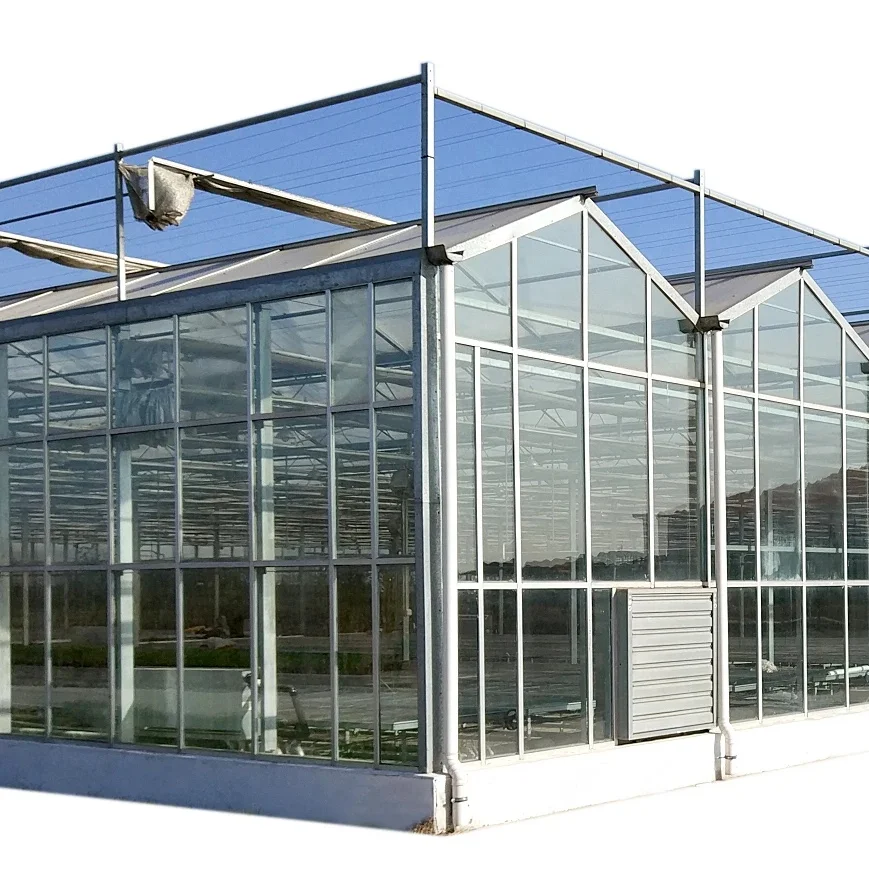 Низкая цена стеклянная теплица с гидропонной системой для