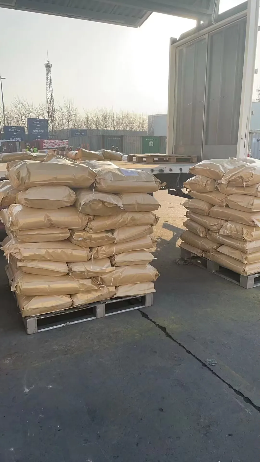 Hot sale of wheat gluten with High quality from China supplier