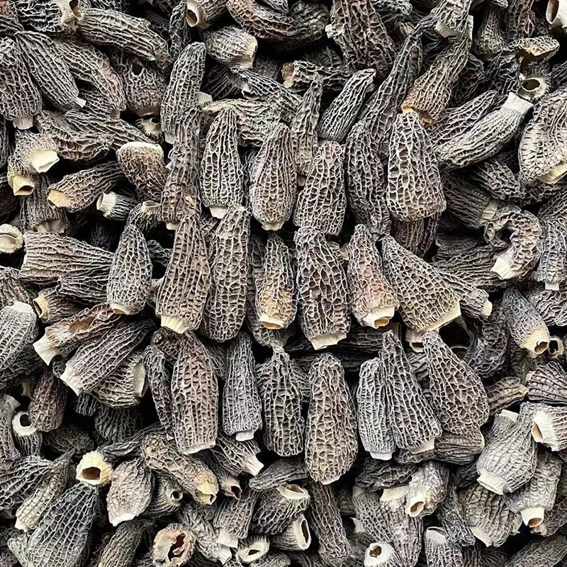 Seasonal New Crop Cutting stems Handle 3-5cm Black Morel mushrooms Yunnan Morchella Mushroom Dried Morel  Morchella Mushroom