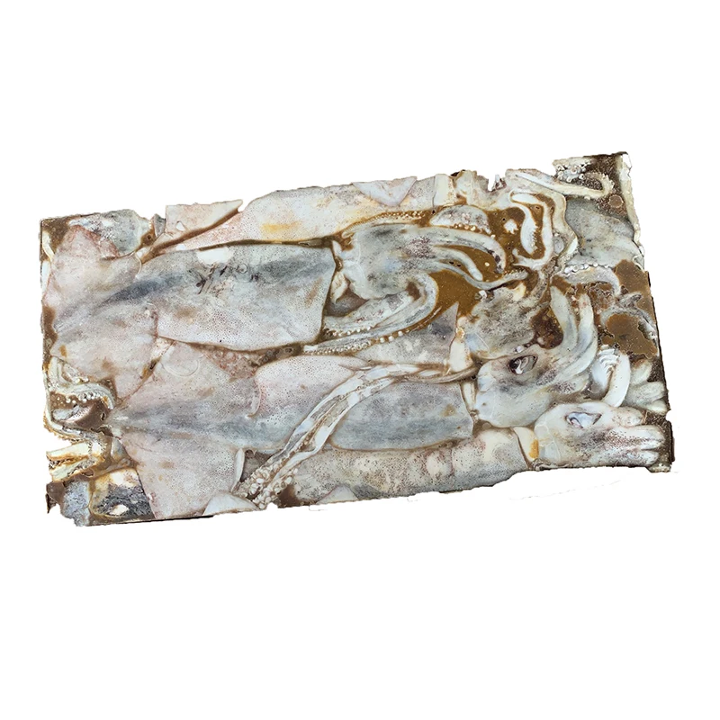 
EU standard frozen seafood freshness calamary BQF Bostom illex squid whole layer freezing wing on 
