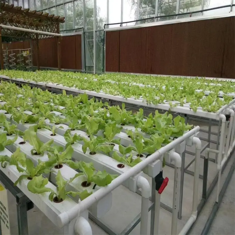 Dutch Barrel Drip Irrigation Planting Balcony Planting Soilless Equipment Tomato Strawberry Pvc Cultivation