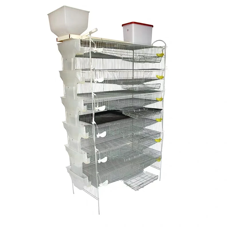 Hot Sale 6 Tiers H Type Automatic Quail Cage For Quail Farm