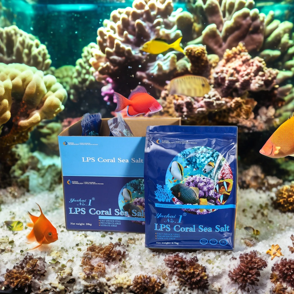 High Quality Plastic Electric Lighter System Eco-Friendly Marine Coral Fish Tank Custom Square Glass Home Use Low Price Sea Salt