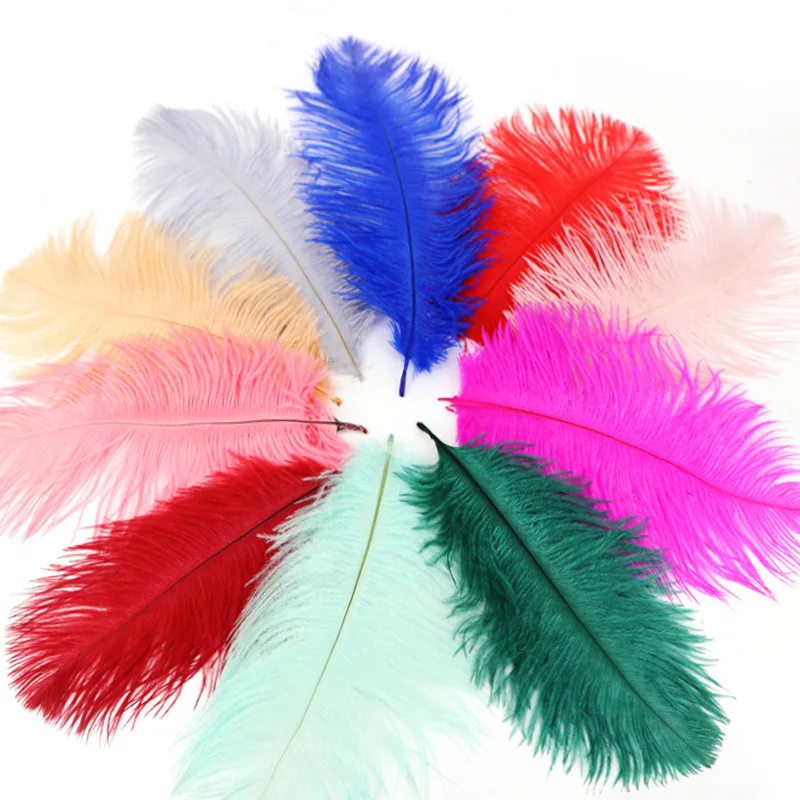 6-8inch South Africa Ostrich Plume Feather for Wholesale