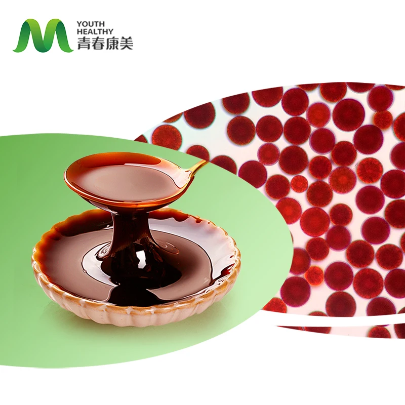 Natural Astaxanthin Powder Oil Haematococcus Pluvialis Powder Oil