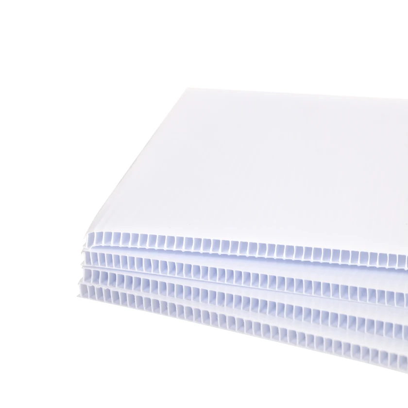 Hot Selling Recyclable 5mm Corrugated Hollow Plastic Polypropylene Pp Sheet corflute sheet