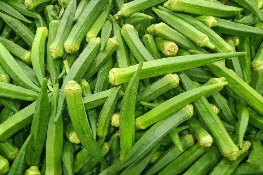 FROZEN LADY FINGER AVAILABLE!!! BEST DEAL FOR EXPORTING  FROM VIETNAM IN 2023