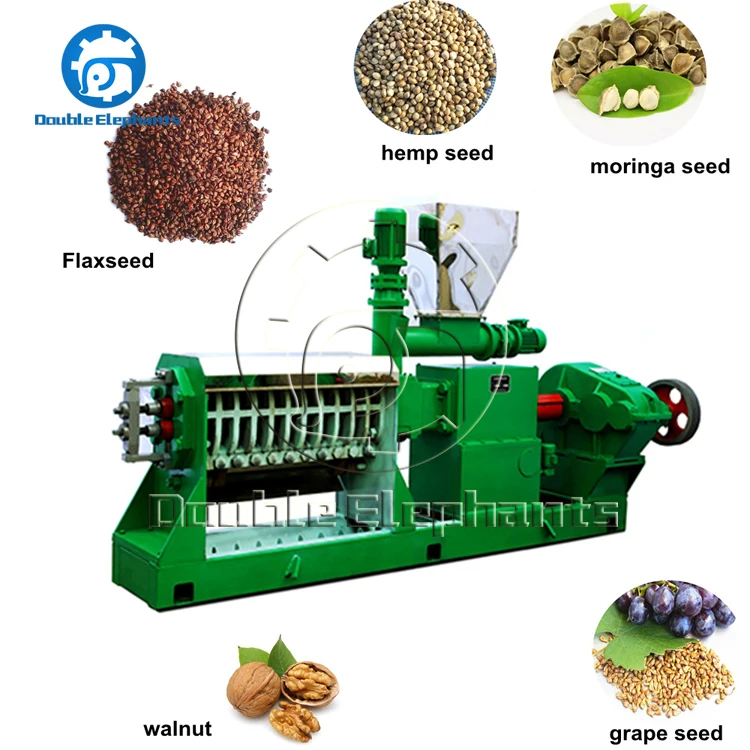 20t/D Twin Screw cold screw press oil machine cold press for oil seed peanut oil cold press
