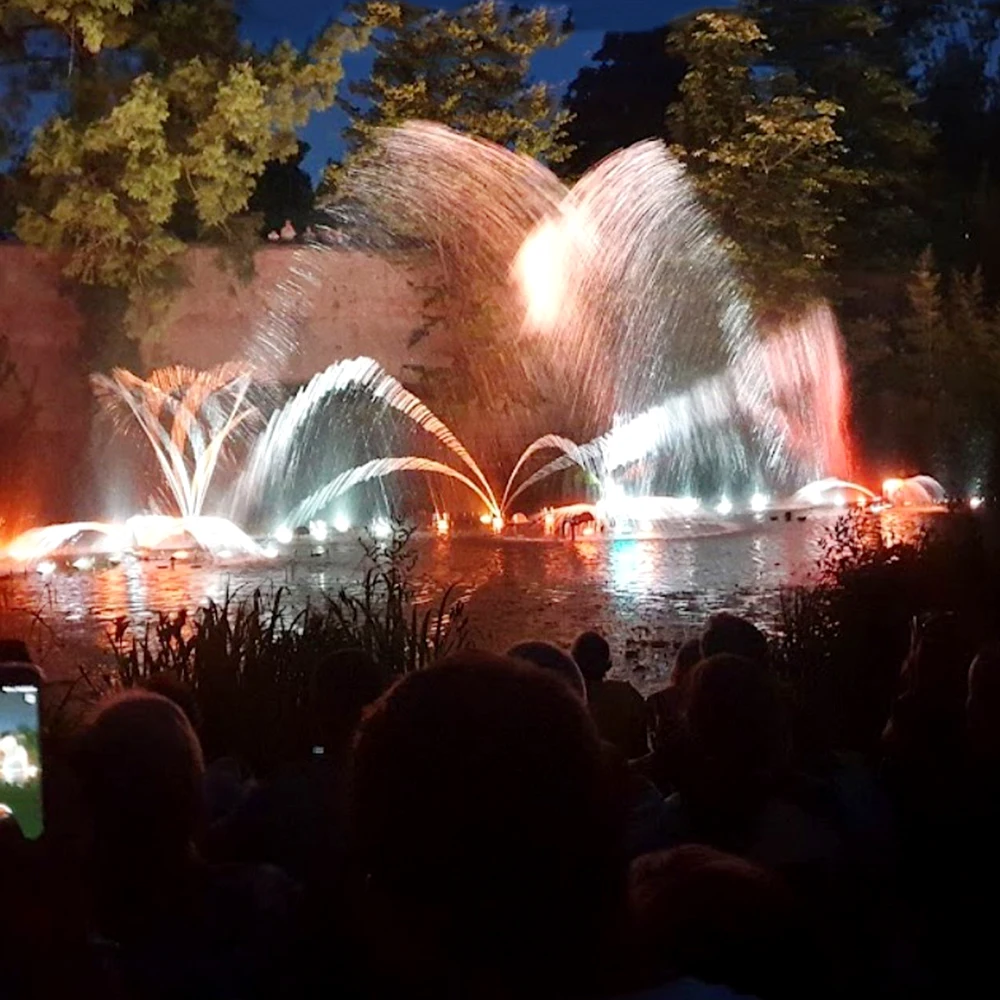 AWS Best Price Programmable Fountain New Design Colorful Music Fountain With Rgb Lights