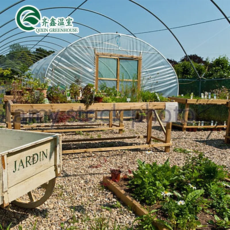 single span film greenhouse mushroom growing equipment