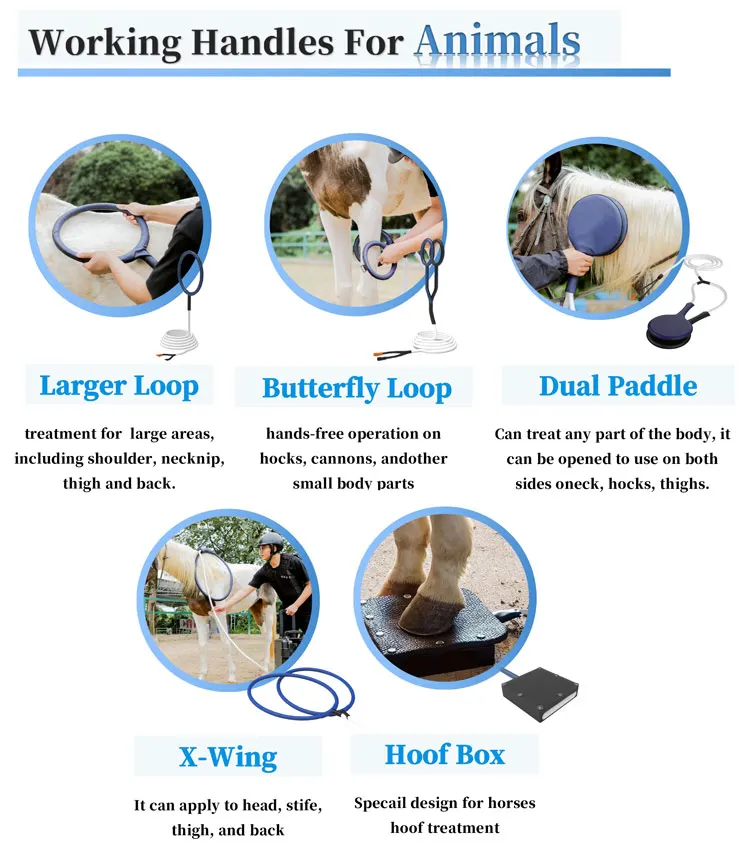 Pmst Loop Pulsed Electromagnetic Magnetic Wave Field Therapy Mat Pemf Equipo De Fisioterapia Para Aliviar El Dolor