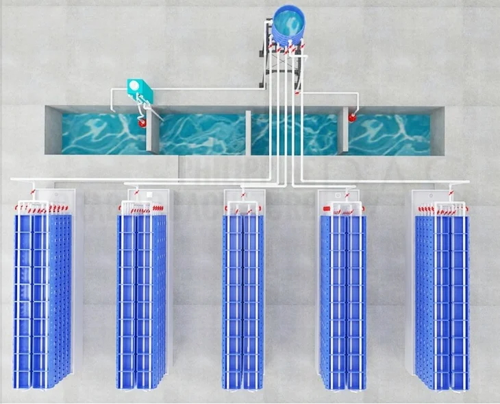 Wholesale price mud crab culture farming house boxes RAS system mud farm crab box